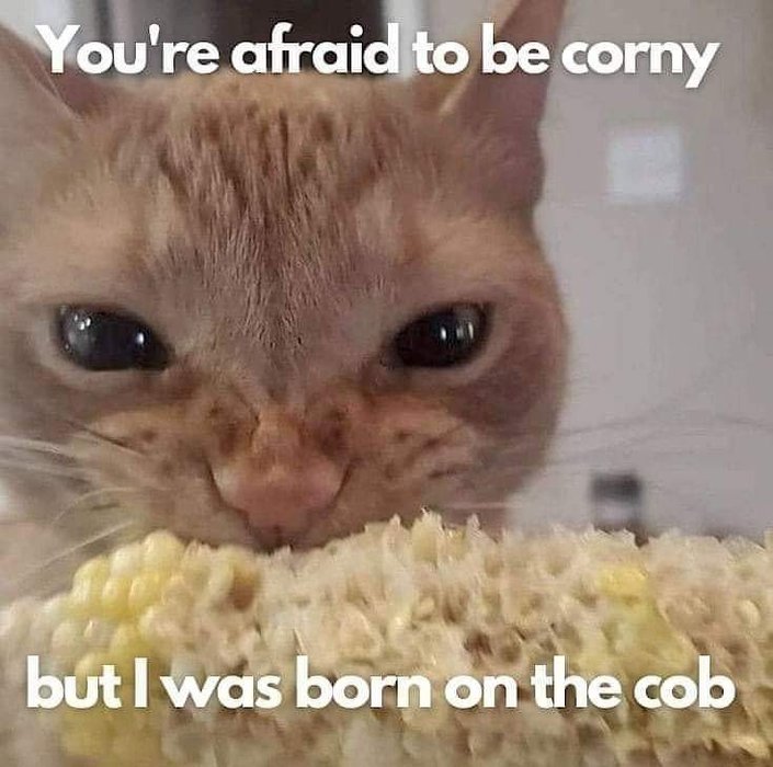 Thumbnail of www-x-com-catbraincell-status-1804295257301090567-a88f63e9fa3c4b8a
