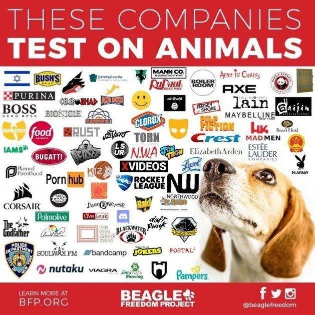 Thumbnail of www-x-com-icape11-status-1941963436788711717-a9294cd97b864008