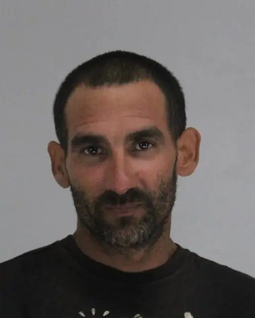 Thumbnail of www-x-com-marionawfal-status-1966441662550302941-a97723ca6dc34018