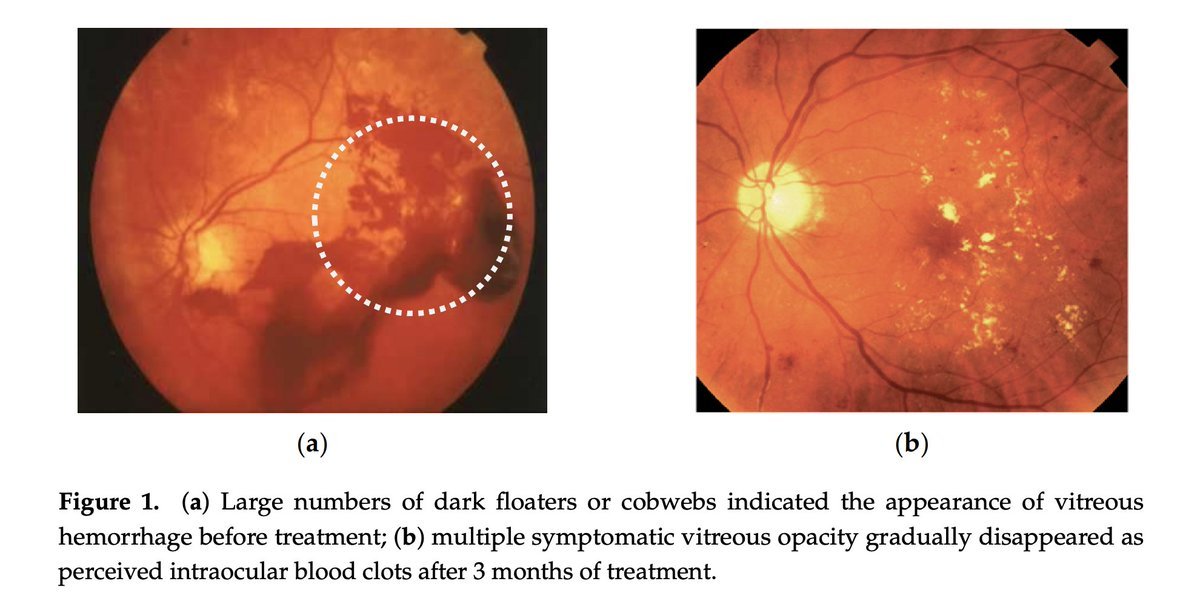 Thumbnail of www-x-com-outdoctrination-status-1790856332691599436-a9f64048ccf64cec