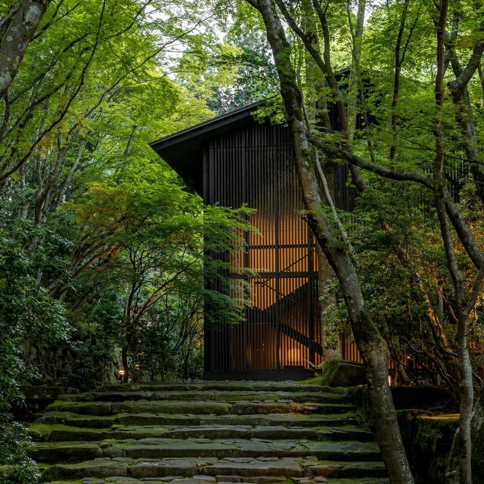 Thumbnail of www-x-com-obtainerof-status-1946960559615680651-ab0ced8eef6d402e