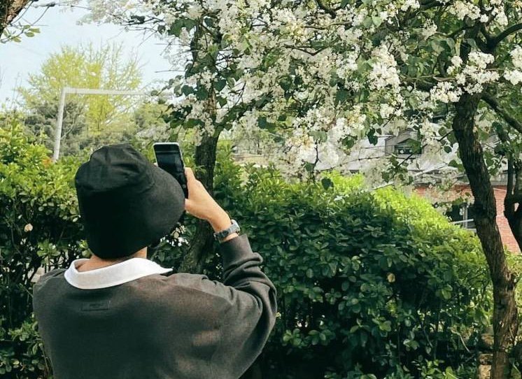 Thumbnail of www-x-com-randomjoonie-status-1524692888126382081-ab0f769e27ba4e47