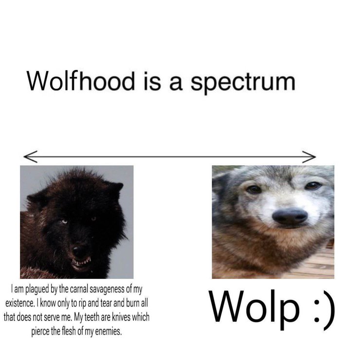 Thumbnail of www-x-com-shitpostgate-status-1895655228935938076-abc410da331e419c