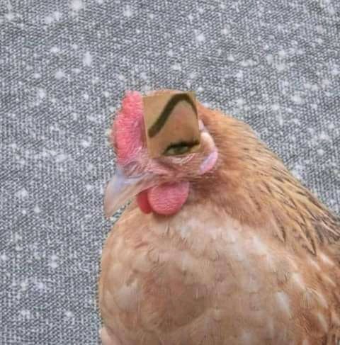 Thumbnail of www-x-com-jiminievenus-status-1497276294555480068-ac42732e7b7141da