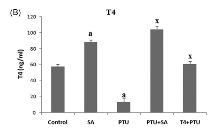 Thumbnail of www-x-com-metabolicmonstr-status-1885793998104641607-af6592a3b39c4a10