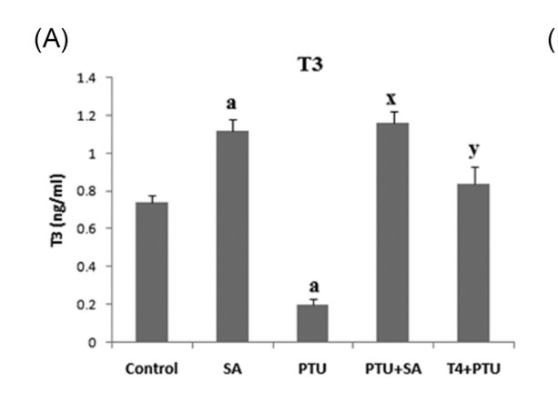 Thumbnail of www-x-com-metabolicmonstr-status-1885793998104641607-af6592a3b39c4a10