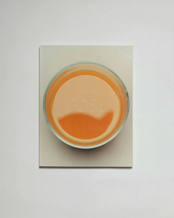 Thumbnail of www-x-com-thisisgrey-status-1810992451865456660-afc8a38a42254984