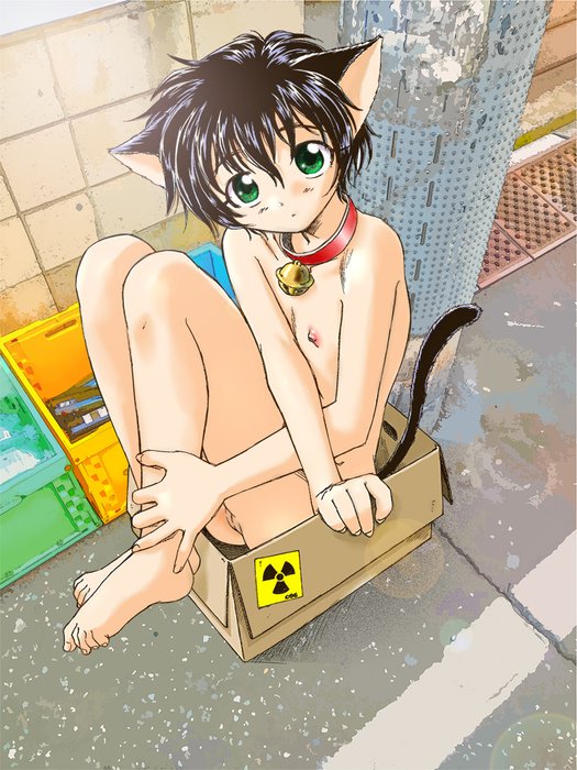 Thumbnail of www-x-com-hotaru-unno-status-1760610647002562833-b03c502e4382411d