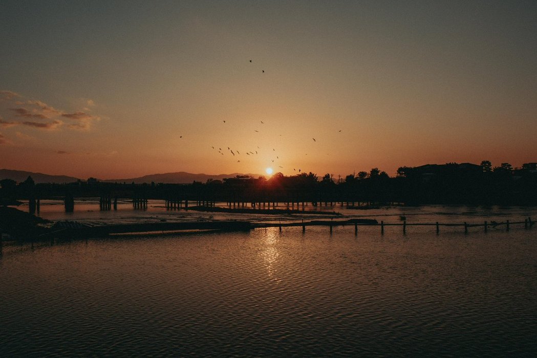 Thumbnail of www-x-com-riki-shinagawa-status-1958849734795567566-b1d5b96deb0a4ea1