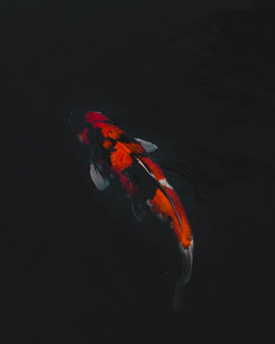 Thumbnail of www-x-com-dylancalluy-status-1916747507742236794-b27be4133cf3490c