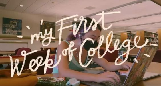 Thumbnail of www-x-com-pietrobaudin-status-1849600367455019495-b38446b8eb2340b3