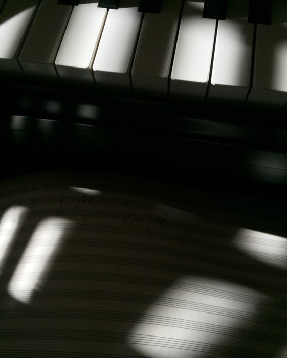 Thumbnail of www-x-com-ryuichisakamoto-status-1657914258200440836-b3fec6b217b84305