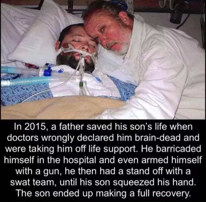 Thumbnail of www-x-com-dudespostingws-status-1886816353614459372-b53ebf5e2e384eb2