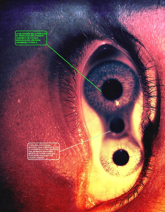 Thumbnail of www-x-com-ihatecigs-status-1553784781791498241-b5b9f3bdd78341f8