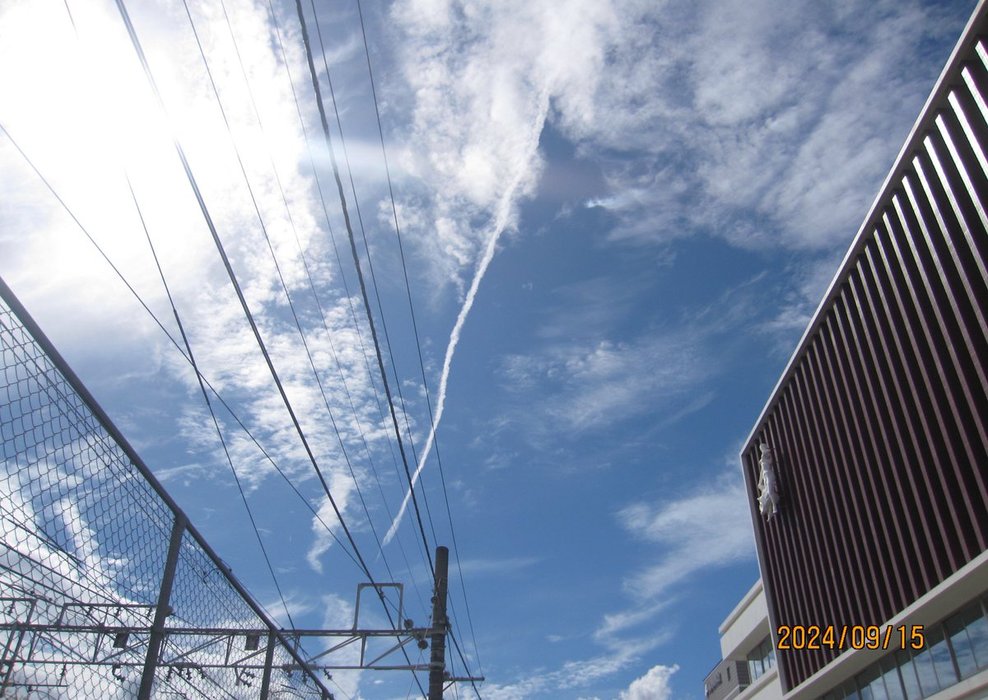 Thumbnail of www-x-com-wmml-status-1880579031697133789-b5d83a7c8a394313