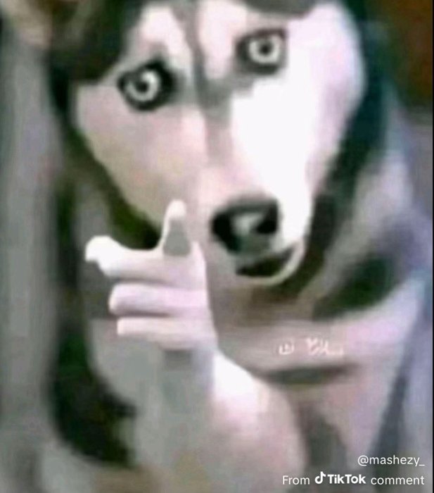 Thumbnail of www-x-com-kemssbaby-status-1958151841843499015-b71a785008304fad