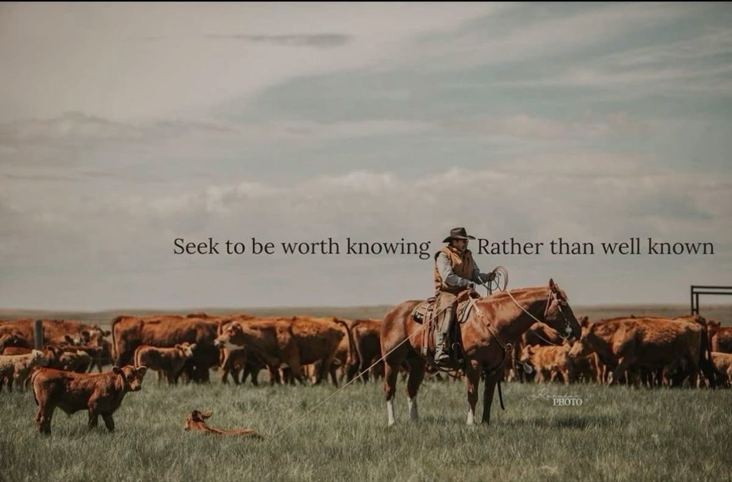 Thumbnail of www-x-com-maxyourtest-status-1916296986719838390-bdf5aaed281c4582