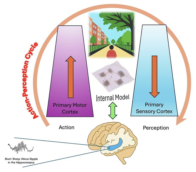 Thumbnail of www-x-com-introspection-status-1956421194040647780-bed1344f00ad4a57