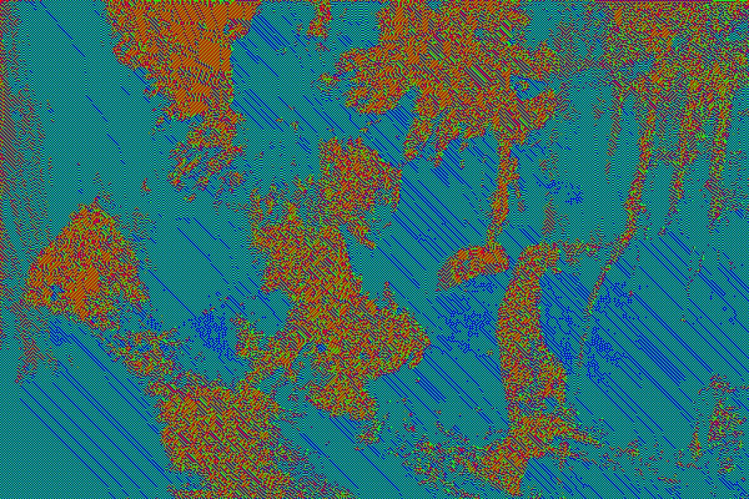 Thumbnail of www-x-com-loackme-status-1483102477650124803-bf4918febc5c4edb