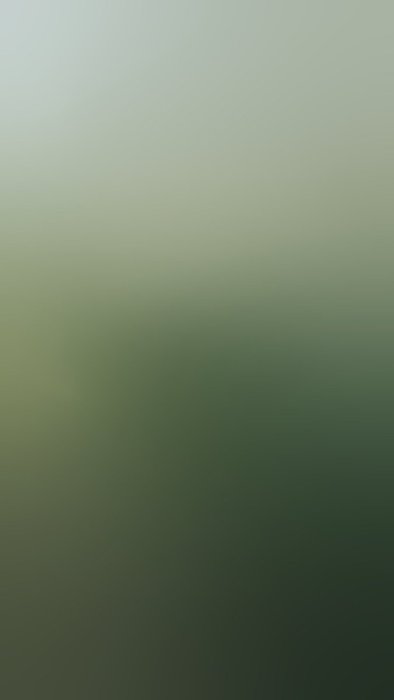 Thumbnail of www-x-com-byamine-status-1889333558835053017-bfad2a89135b40b8