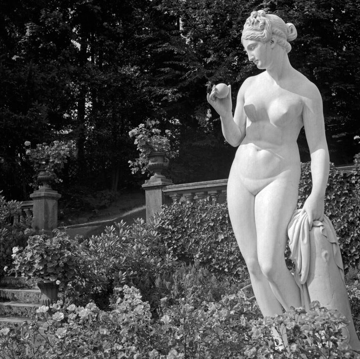 Thumbnail of www-x-com-ortgeist-status-1886584072677548136-c0cd3b6dd0f64ad4