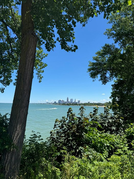 Thumbnail of www-x-com-sameversoncle-status-1799490822401921179-c10ed9b15bd548ce