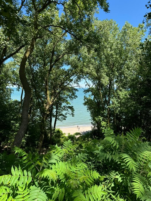 Thumbnail of www-x-com-sameversoncle-status-1799490822401921179-c10ed9b15bd548ce