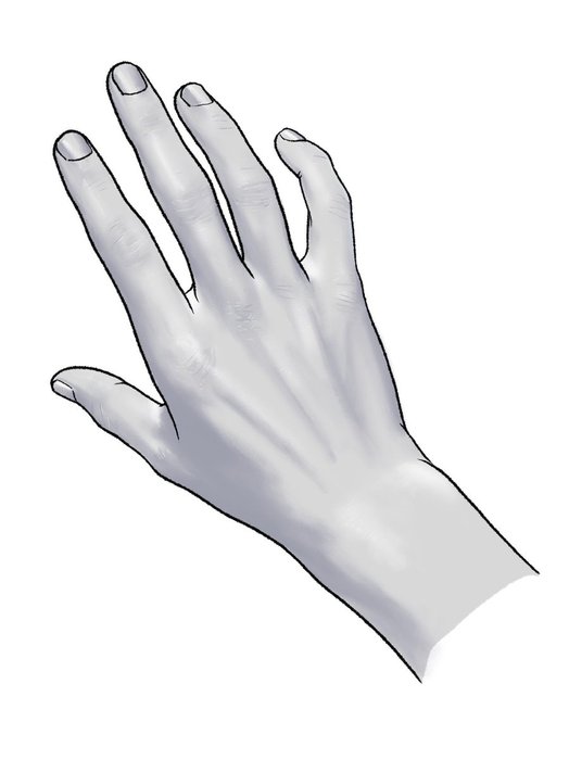 Thumbnail of www-x-com-kato-anatomy-status-1578004831540695042-c14e56ddf038409e