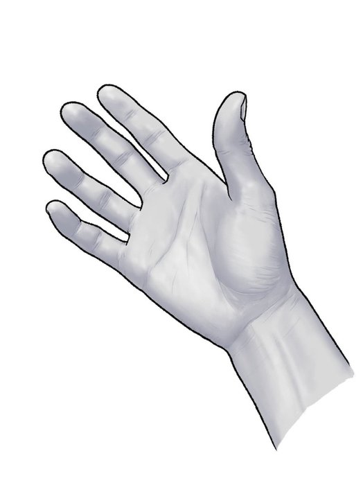 Thumbnail of www-x-com-kato-anatomy-status-1578004831540695042-c14e56ddf038409e