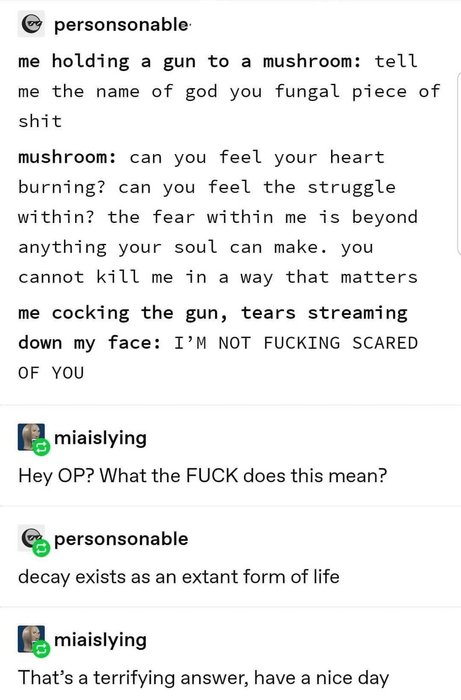 Thumbnail of www-x-com-vjinxvalentine-status-1794791946759864716-c1902c6e68bb4843