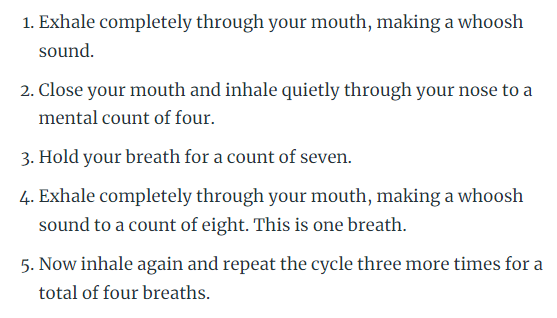 Thumbnail of www-x-com-frederikneckar-status-1561056532741210112-c1d39e0c7dc743e0