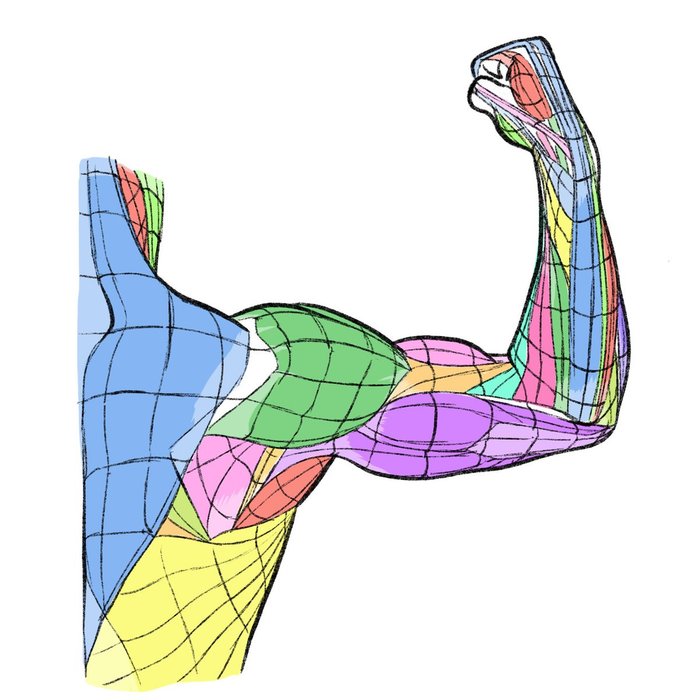 Thumbnail of www-x-com-kato-anatomy-status-1367810790745509888-c207ed16fc9e4b6f
