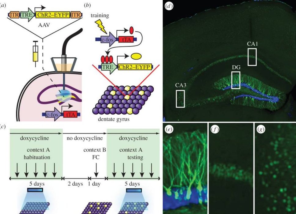 Thumbnail of www-x-com-sterlingcrispin-status-1753549313144238275-c28f2435f9ce44b5