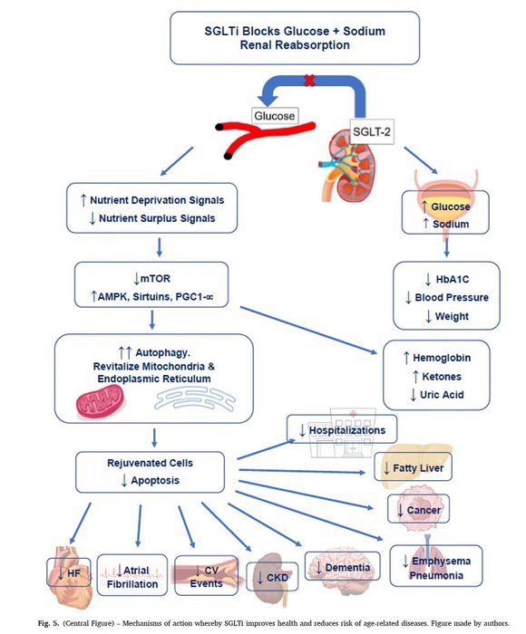 Thumbnail of www-x-com-drlipid-status-1730724120344608780-c2f1f0b99bbc420e