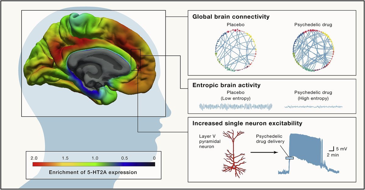 Thumbnail of www-x-com-ntfabiano-status-1843984267766030612-c318c657c88547d3