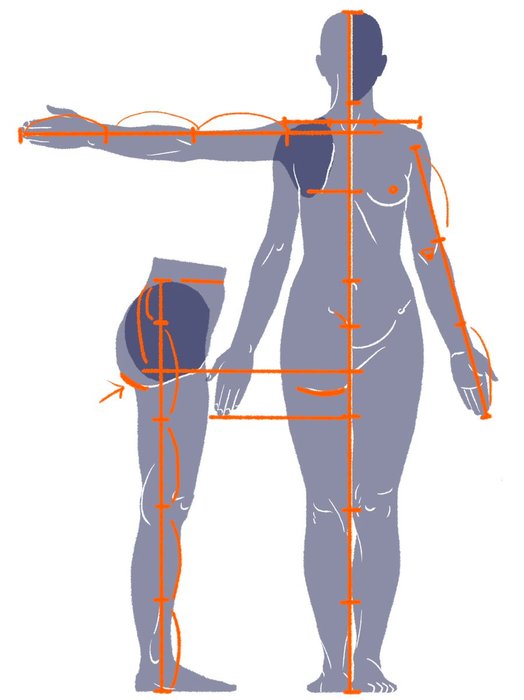 Thumbnail of www-x-com-kato-anatomy-status-1606569884619771904-c3d21486e6094af5