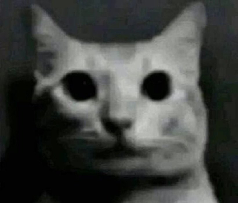 Thumbnail of www-x-com-magpieluvr-status-1955732351012757711-cb263f1dcfe443ff