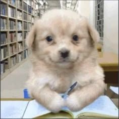 Thumbnail of www-x-com-jarksob-status-1961348026733084736-d096e368956b41c1