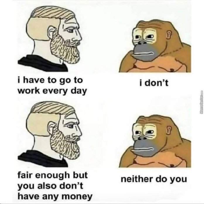 Thumbnail of www-x-com-picturesfoider-status-1653627325442068480-d0a9490b7e064b3a