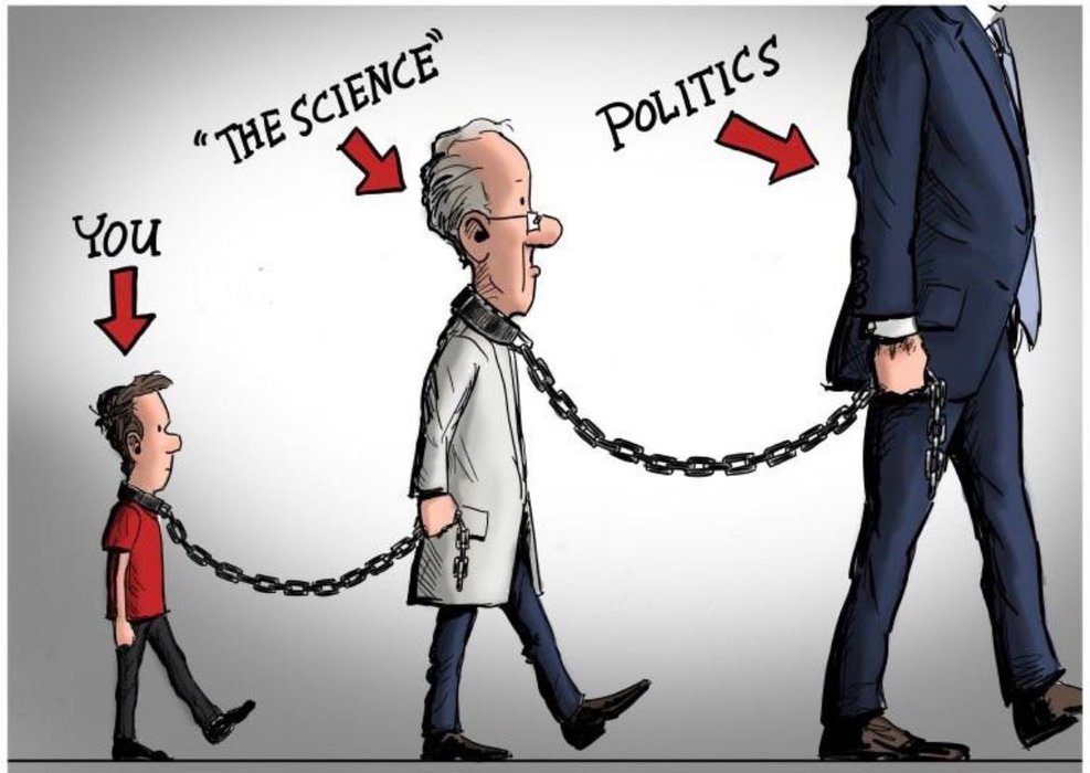 Thumbnail of www-x-com-drelidavid-status-1692248867385806920-d29abfae55734ecf