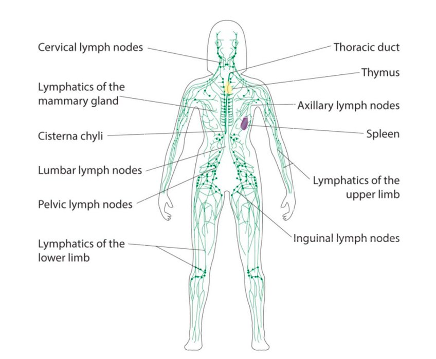 Thumbnail of www-x-com-vitallymelanie-status-1879238065610170382-d3ce756d233a4ac1