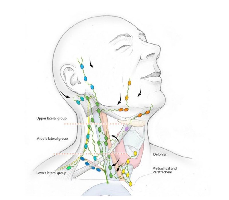 Thumbnail of www-x-com-vitallymelanie-status-1879238065610170382-d3ce756d233a4ac1