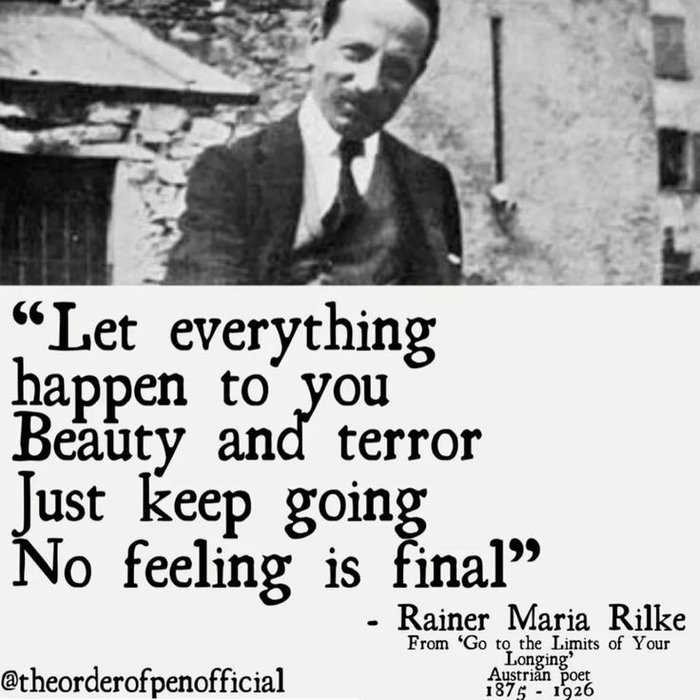 Thumbnail of www-x-com-lovandfear-status-1882712947988078883-d6495e910c6c43ff