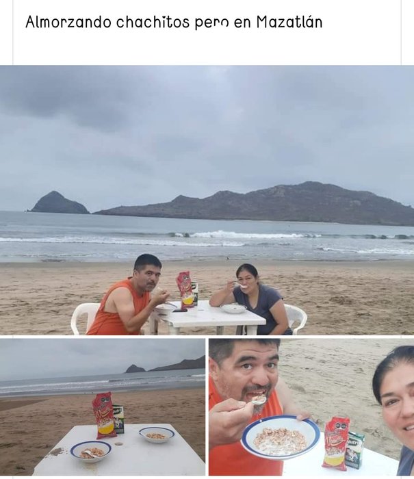 Thumbnail of www-x-com-la-littlemess-status-1543109527335206912-d6fa8b6e88bc4e5a