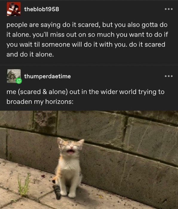 Thumbnail of www-x-com-mando-oz-status-1944592019105493078-d7a6f787ae9f45d8