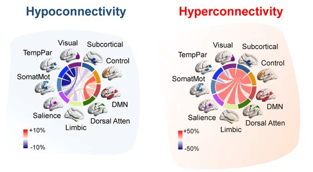Thumbnail of www-x-com-ntfabiano-status-1902322116273254663-d7ffcb7cfa284c2c