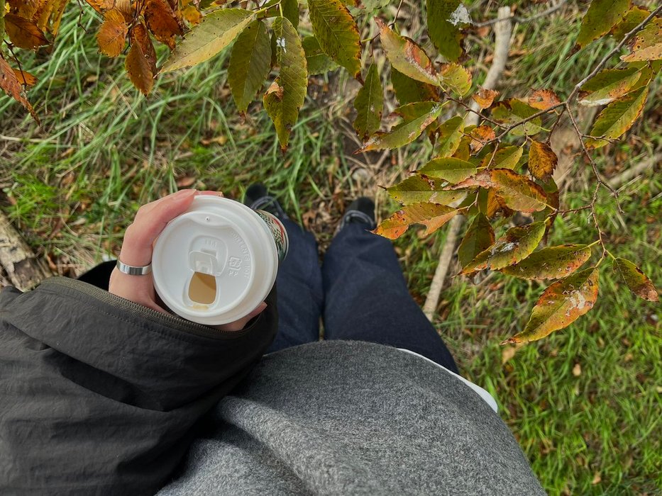 Thumbnail of www-x-com-pukupukutai-status-1859888785103917209-d8dd2b0acfcf4170