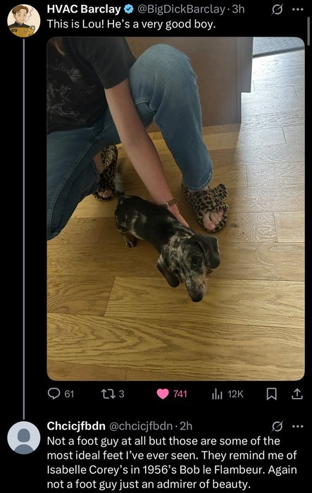 Thumbnail of www-x-com-nugjokes-status-1948902199930593297-de4aacce15a34a0d