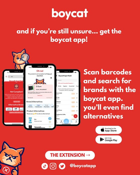 Thumbnail of www-x-com-boycatapp-status-1856383896402751773-dec7ba4000a842eb