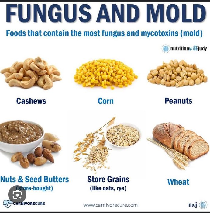 Thumbnail of www-x-com-bioavailablend-status-1786158894198255919-e03d348e71d9480f